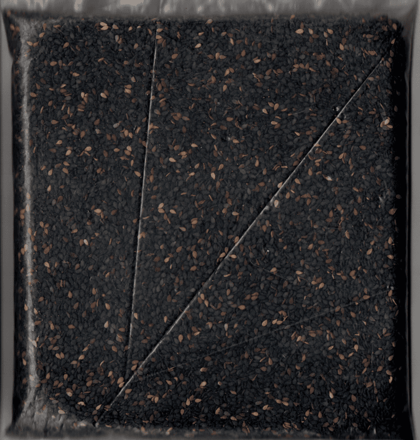 BLACK SESAME (काला तिल) view 3