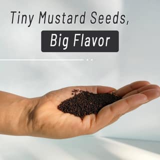 Mountain Bawarchi Jakhiya Black Mustard Seeds | Whole Rai Dana | Sarso Dana Indian Spice (200 g)