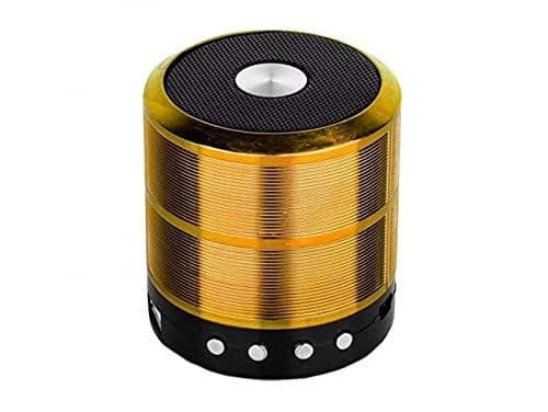 Multi-Function Portable Bluetooth Speaker with FM Radio, AUX, USB, TF Card Slot, & High Bass Sound Gold