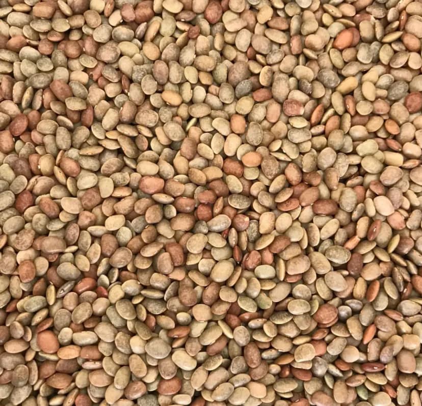 Kollu / Horse Gram 500 gm
