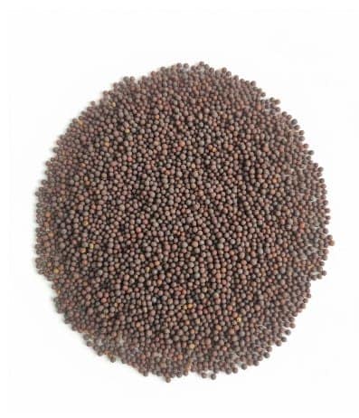 NSC MUSTARD RH-761 CS 2 KG view 3