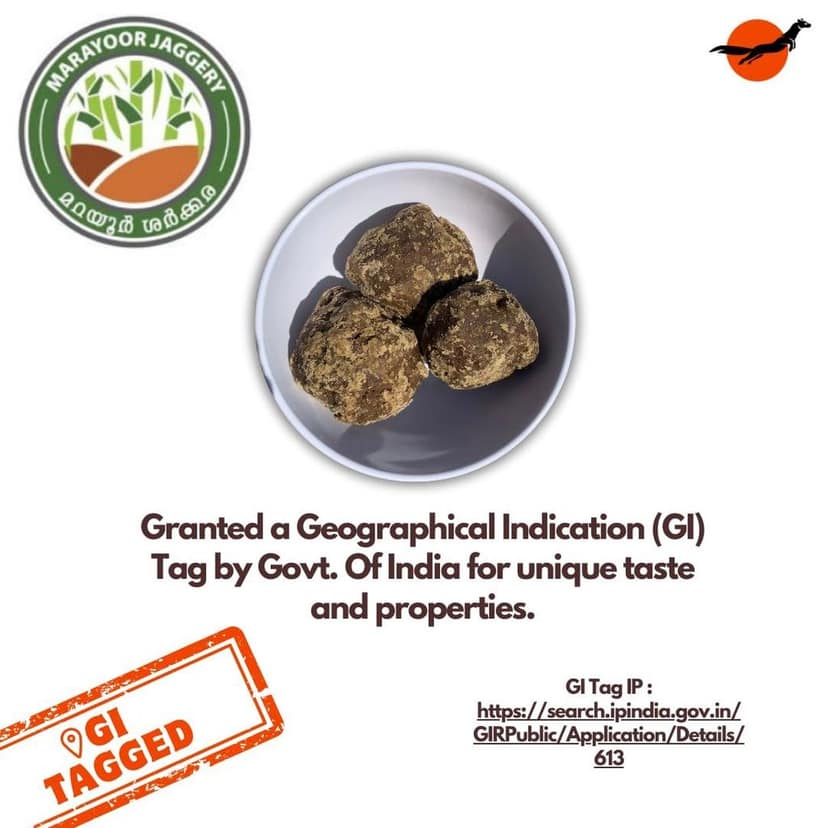 Nilgiri Marten Marayoor Jaggery Powder (Gud)| 78% to 97% Total Sugar| GiTagged| No Sourness| Natural & Pure | Single Origin (1000G) view 3