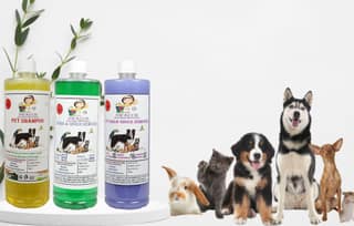 Swacch Shampoo (Lemon) + Deodorizer (Jasmine) + Stain Remover (Lavender) 1 Litre Each
