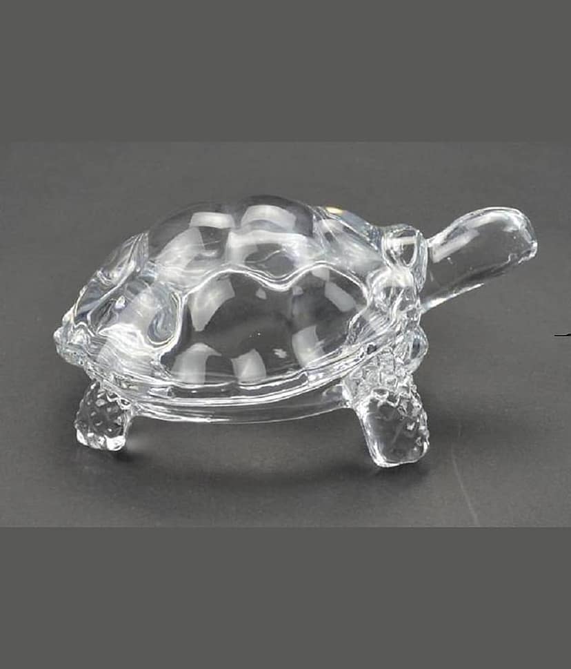 Astrodidi Glass Tortoise Kachua For Vastu