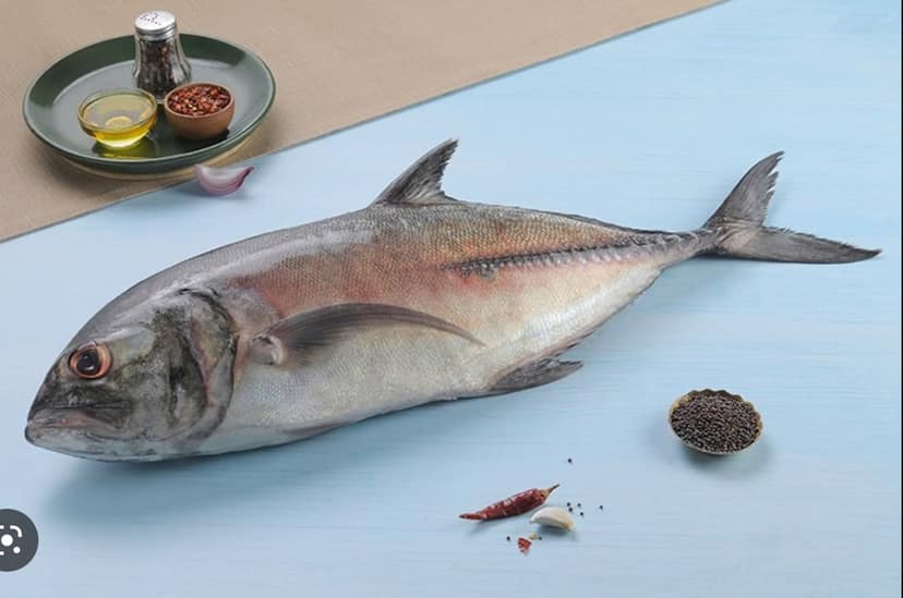 Malabar Trevally/Vatta(0.5kg-1kg)-Curry Cut (May include head pieces) - (480g to 500g Pack)