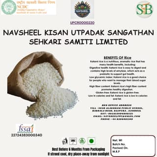 Basmati Rice