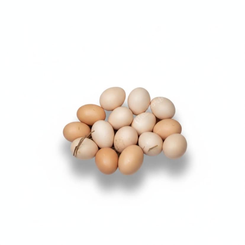 Farm Fresh Eggs - 10kg Pack - 10 kg - 10kg pack of eggs view 4
