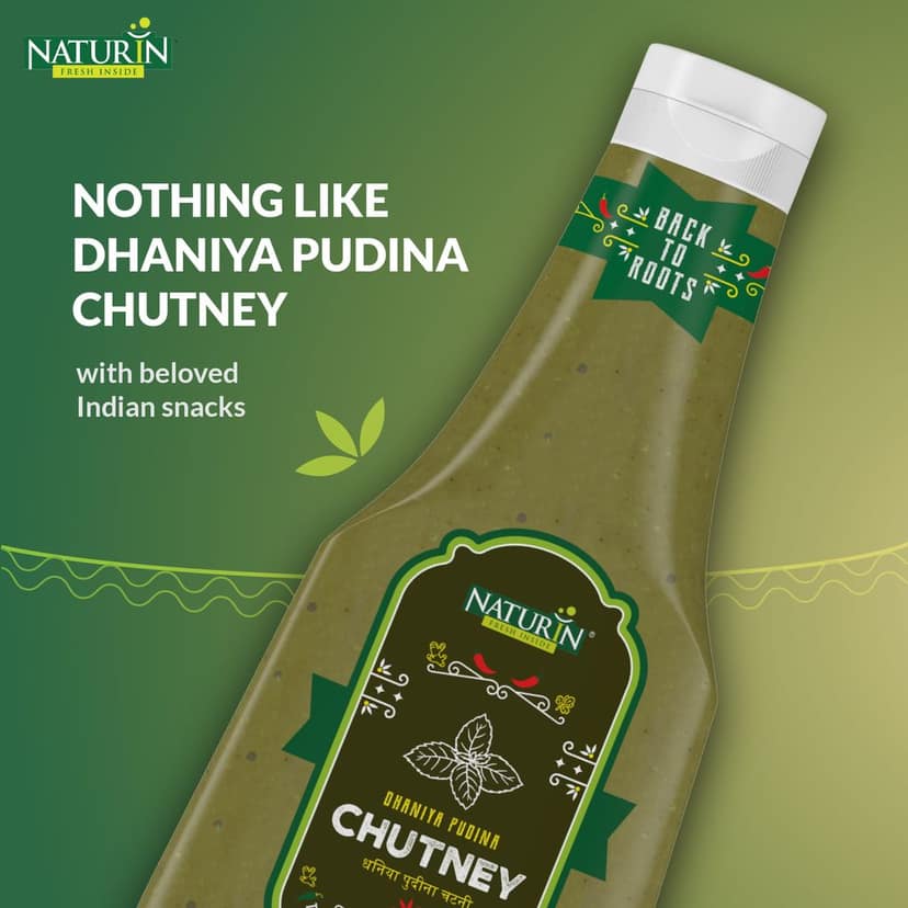 Naturin Dhaniya Pudina Chutney (Green Chatni) view 5