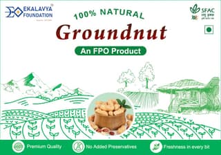 Groundnut