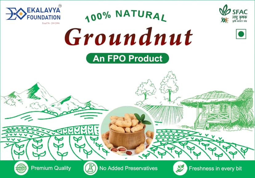 Groundnut