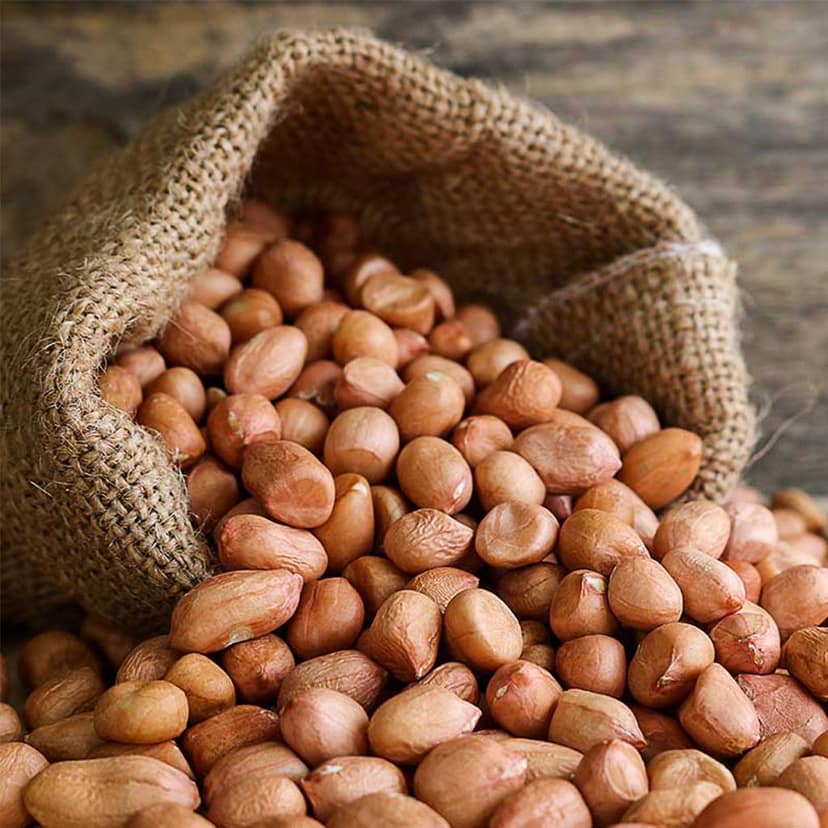 Groundnut view 6