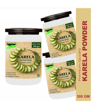 Rawmest Karela (Bitter Gourd) For Blood Purifier Powder 300 Gm Pack of 3