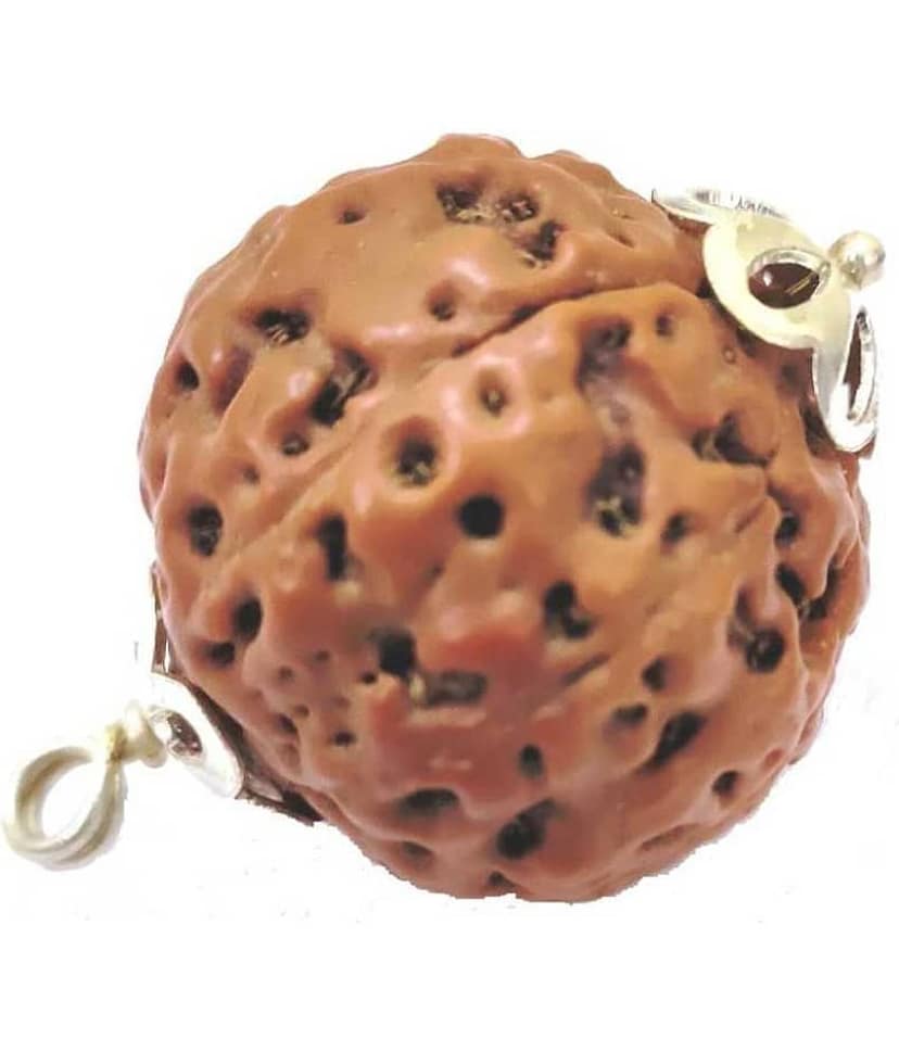 Astrodidi 8 Mukhi Eight Face Rudraksha Indonesian Pendant With Lab Certificate Original, Real & Natural