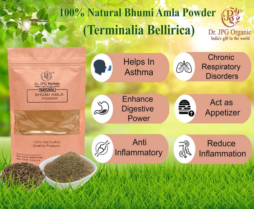 Dr. JPG Organic Herbals Bhumi Amla Powder 200g Phyllanthus Niruri ISO & GMP Certified view 2