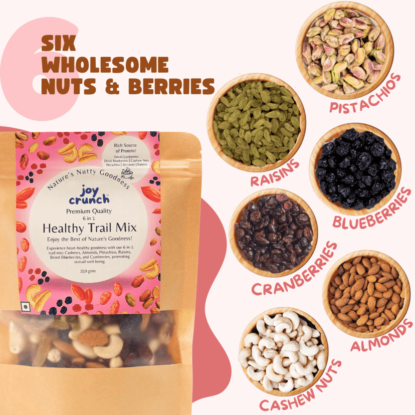 Joy Crunch Mixed Dry Fruits | Healthy Trail Mix 500g | 6 in 1 Nuts and Berries Mix | Premium Dry Fruits and Nuts | Containing Almonds, Cashew Nuts, Pistachios, Raisins, Blueberries & Cranberries view 5