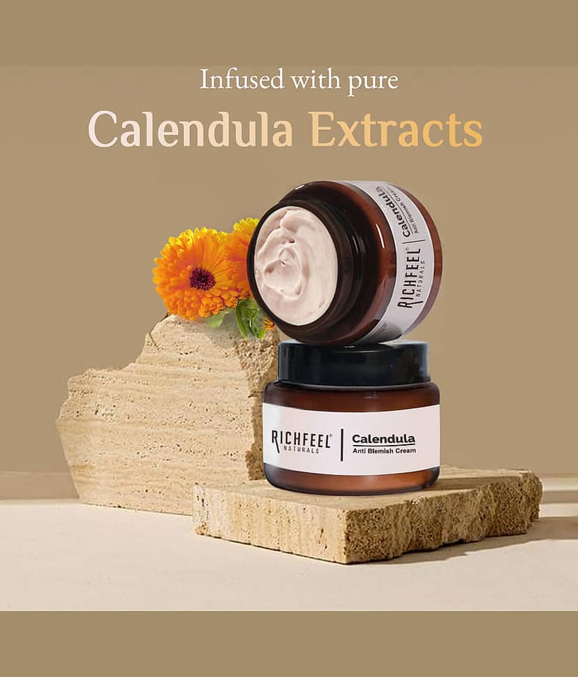 Richfeel Moisturizer Normal Skin Turmeric ( 100 gm ) view 2