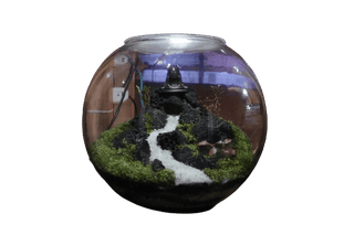 Aadi Yogi Terrarium