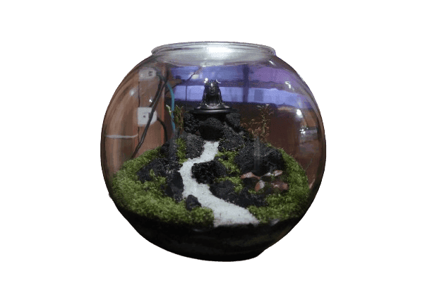 Aadi Yogi Terrarium