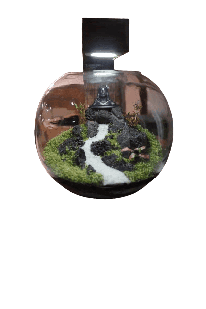 Aadi Yogi Terrarium view 2