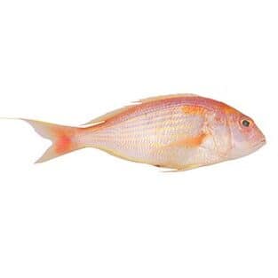 Pink PerchSankaraRani Curry Cut With Head 500 Grams