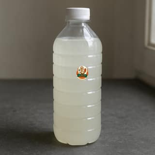 Jarsingi Nirmala Creations's pure coconut oil