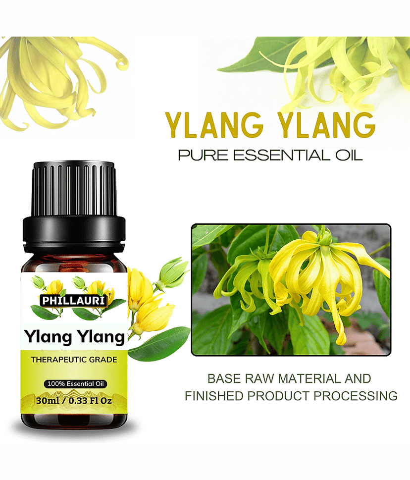 Phillauri Ylang-Ylang Others Essential Oil Fruity With Dropper 60 mL ( Pack of 2 ) view 2