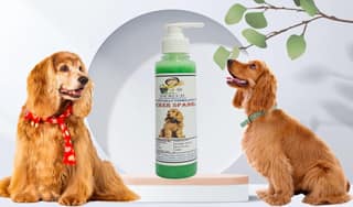 SWACCH Premium Shampoo for Cocker Spaniel (200ML) NEEM ALOVERA