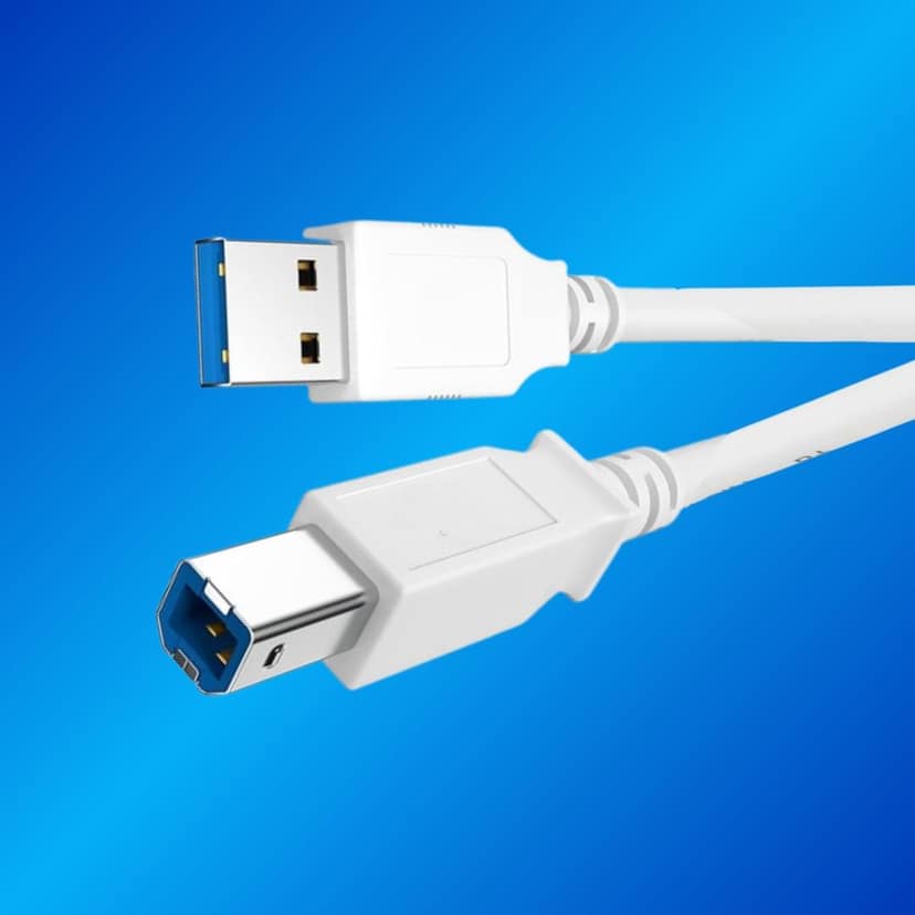 Champion USB Printer Cable, USB A Male to B Male For Canon, Dell, Epson, HP Printers and Scanners