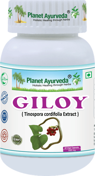 Planet Ayurveda Giloy (Tinospora Cordifolia Extract) 60 Veg Capsules 500mg