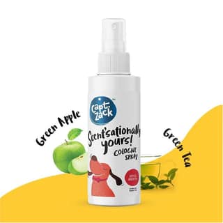 Capt Zack Scentsationally Yours (Apple And Green Tea) 100 Ml