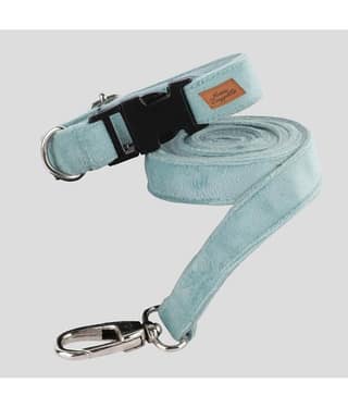 NUEVOS DOGGADIL - Black Collar ( X-Small )