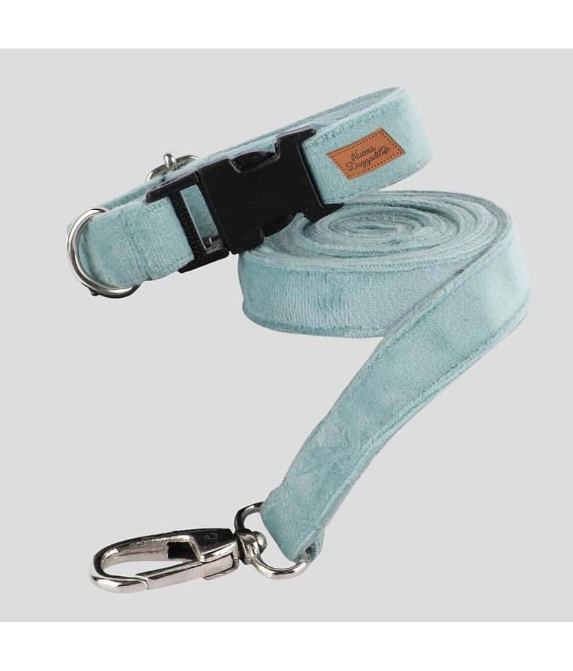 NUEVOS DOGGADIL - Black Collar ( X-Small )