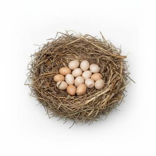 Fresh Farm Eggs - 2 kg - One carton of fresh eggs