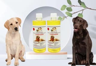 SWACCH Shampoo Specially FORMULATED for Labrador (500ML) (Pack of 2) Lemon