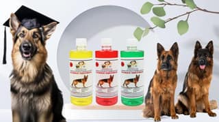 Swacch Shampoo Specially Formulated for German Shepherd (500ml) (Combo Pack of 3) Lemon, Jasmine & Neem Alovera