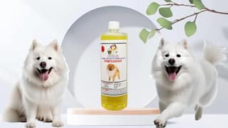 Swacch Shampoo Specially Formulated for Pomeranian (1 Litre) Lemon