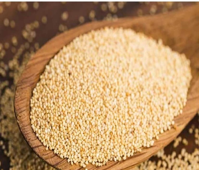 Opium Seeds view 4