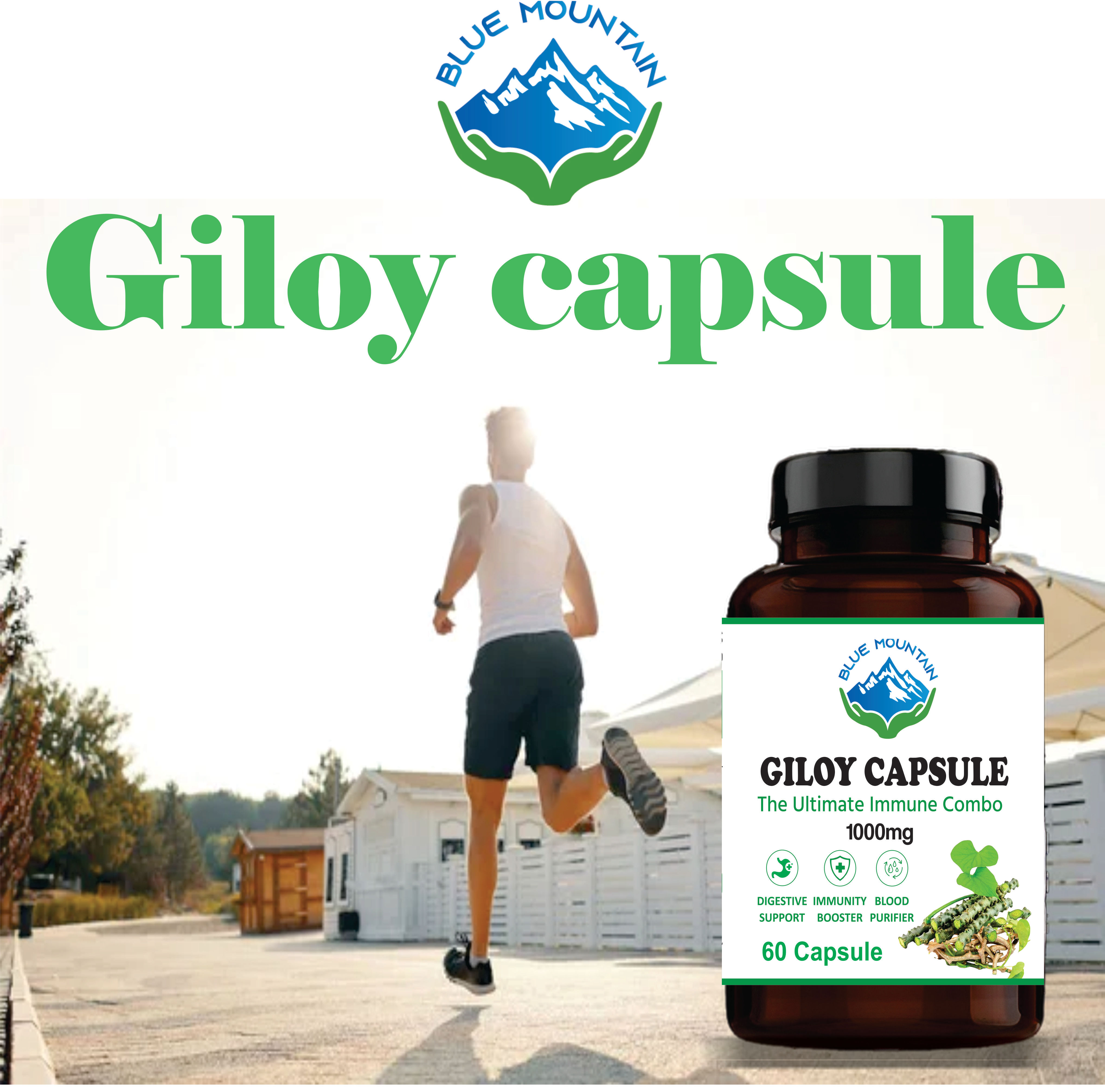 BLUE MOUNTAIN Giloy Capsule, 60 Capsule