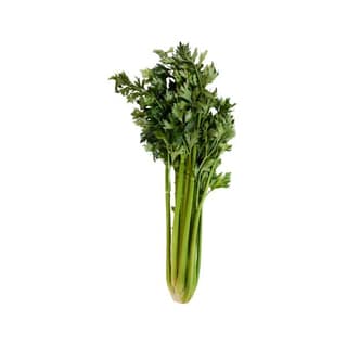 Celery (Pc)