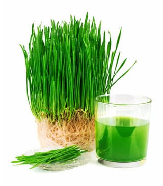 Wheatgrass juice - medium