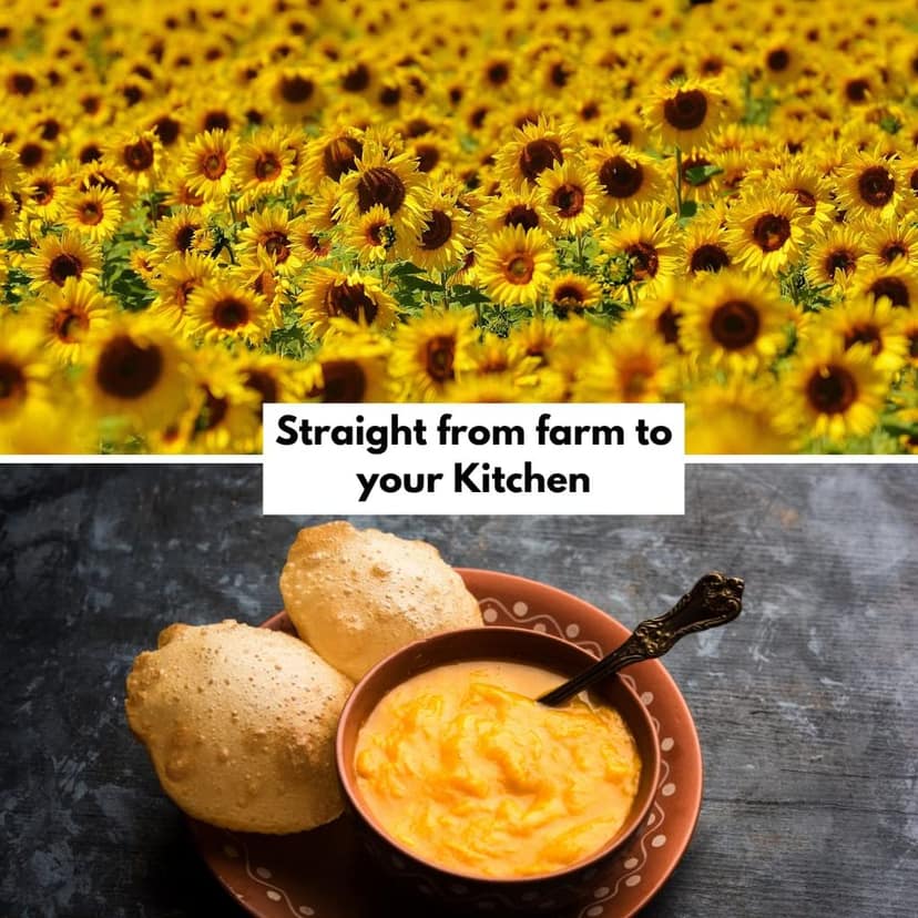 Cold Pressed Sunflower Oil view 4