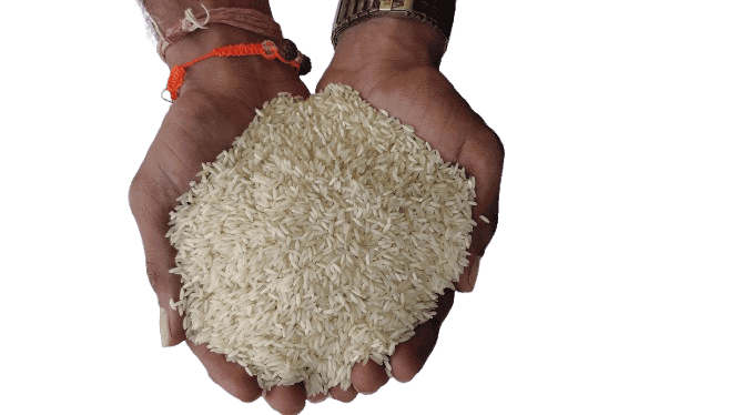 Sonbarsa White Rice view 3