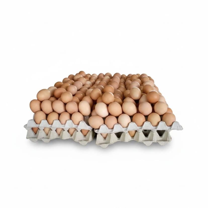 Fresh Farm Eggs - 100 gm - One tray of eggs