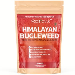 Vaastavik Bugleweed Loose Leaf Herbal Tea 100gm