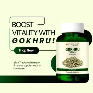 BIO RESURGE GOKHRU Tablets - 60 Tablets