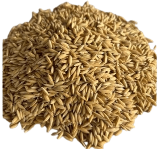 Paddy (BPT) 5kg
