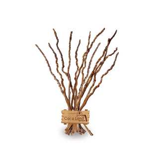 Coco land Coconut Bunch Stem Pack of 12 Varnished / Dry Flower Stem /Natural Flower Stem /Raw Craft
