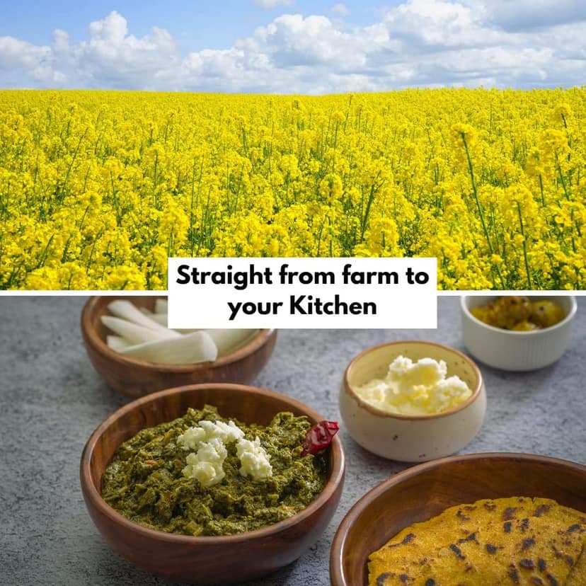Cold Pressed Mustard Oil view 4