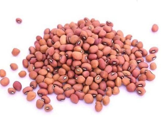 COW PEA view 4