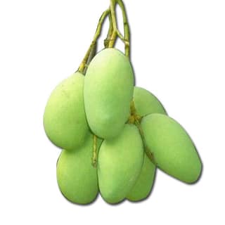 Kaccha Keri 250 Gms